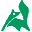 int-zh-kaiyunsport.com favicon